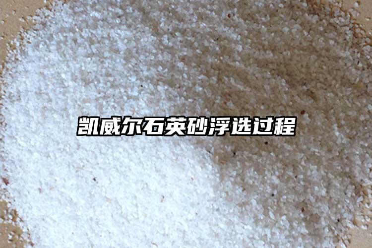 生产厂家樱花草在线社区www砂浮选过程