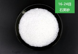 喷砂樱花草在线社区www砂